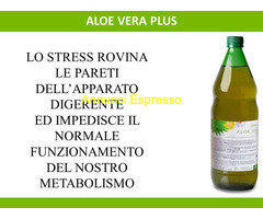 ALOE  VERA PLUS  ! x alitosi ulcera gastrite colite reflusso insonnia psoriasi stanchezza.