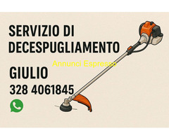 Impiegato/a con esperienza pluriennale cerco lavoro in settore Artigianato