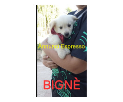 In regalo BABÀ e BIGNÈ taglia piccola