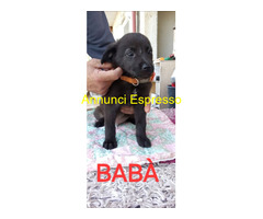 In regalo BABÀ e BIGNÈ taglia piccola