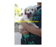 In regalo BABÀ e BIGNÈ taglia piccola