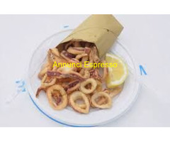 Affitto ristorante NAVIGLIOPAVESE XSSPV mq300 affitto Euro3000