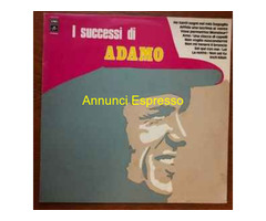Dischi in vinile anni 60/70/80/90 /2000.