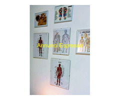 Studio Massaggi Benessere e Sport Messina