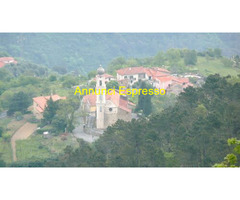 Terreno coltivabile mq3250 Privato