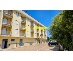 Rossano Affitto Appartamento 45 mq 