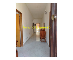  Vendita Villa/Casa singola 250 mq 
