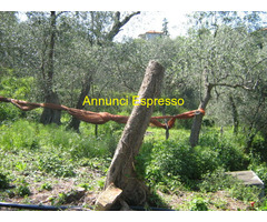 Terreno coltivabile mq3250 Privato
