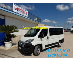 IVECO alimentazionediesel