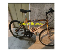 Bicicletta