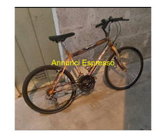 Bicicletta