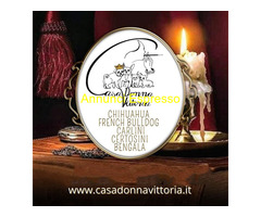 Pensione casa vacanza
