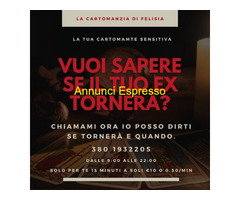 VUOI SAPERE SE IL TUO EX TORNERA\' ?