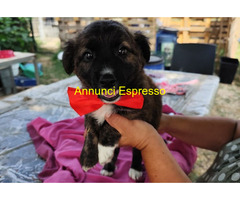 In regalo TAPPO 2 mesi taglia piccola