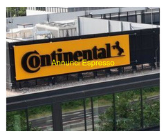 Ingegnere con esperienza annuale cerco lavoro in settore Amministrazione e Finanza