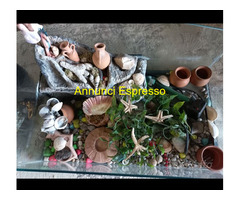 Acquario per tartarughe completo di accessori