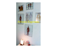Studio Massaggi Wellness e Sport Messina