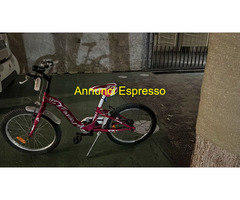 Bici bimba