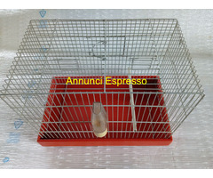 Gabbia per uccelli ed altri animali misure esterne