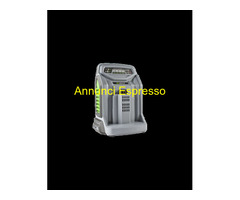 CARICABATTERIA RAPIDO EGO POWER + CH5500E
