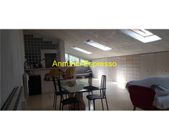 villa cortese Vendita Appartamento 75 mq 
