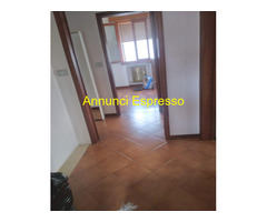 Affitto casa ZALAMELLA mq150 numero localicinque