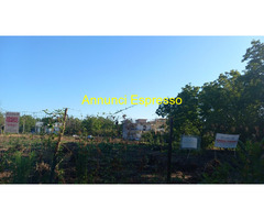 Terreno edificabile mq6000 Professionale