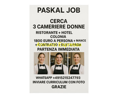 Paskal Job cerca  3 CAMERIERE DONNE GERMANY nel settore Alberghiero con  esperienza