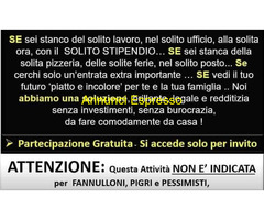 Disoccupato/a con esperienza annuale cerco lavoro in settore Marketing e Pubblicità