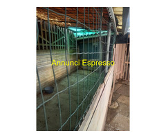 Affitto terreno non edificabile mq15 Privato
