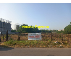 Terreno edificabile mq6000 Professionale