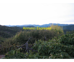 Terreno coltivabile mq3249 Privato