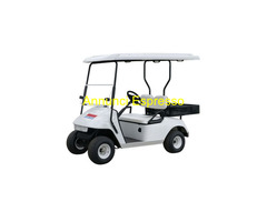 GOLF CAR LUPETTO