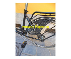 Bici wegg da donna 26 con cambio 6 velocità