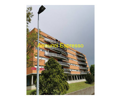Affitto appartamento Confine mq90 numero localitre