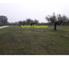Terreno edificabile mq3635 Privato