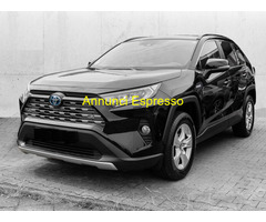 TOYOTA RAV4 4ª serie Hybrid 4x2 AHK riscaldamento aux SUV