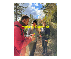 CorsoCorso di Educatore Ambientale