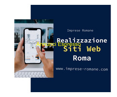 Web Agency Roma Prati: Siti Internet a 99 ?!