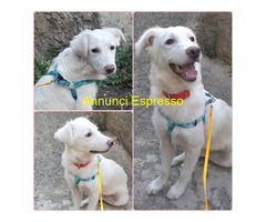 In regalo UNA MAMMA PER CHLOE