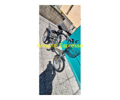 Triciclo per adulti elettrico