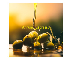 OLIO EVO BORGUNTO