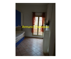 Affitto appartamento centro storico mq20 numero localiuno