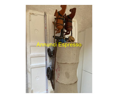 Carrozza far West da collezione