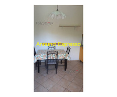 FUCECCHIO Affitto Appartamento 45 mq 