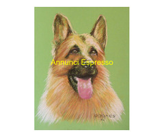 Ritratti di animali a pastelli