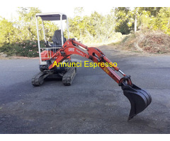 Miniescavatore