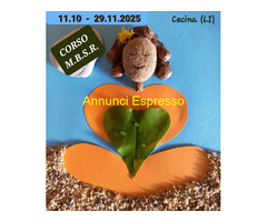 CorsoCORSO DI MEDITAZIONE/MINDFULNESS - MBSR