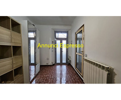Affitto monolocale MM1 Pasteur mq30 numero localiuno