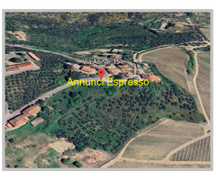 Vendita Rustico/Casale 118 mq 